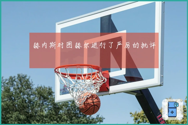 赫内斯对图赫尔进行了严厉的批评