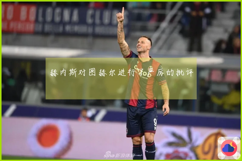 赫内斯对图赫尔进行了严厉的批评